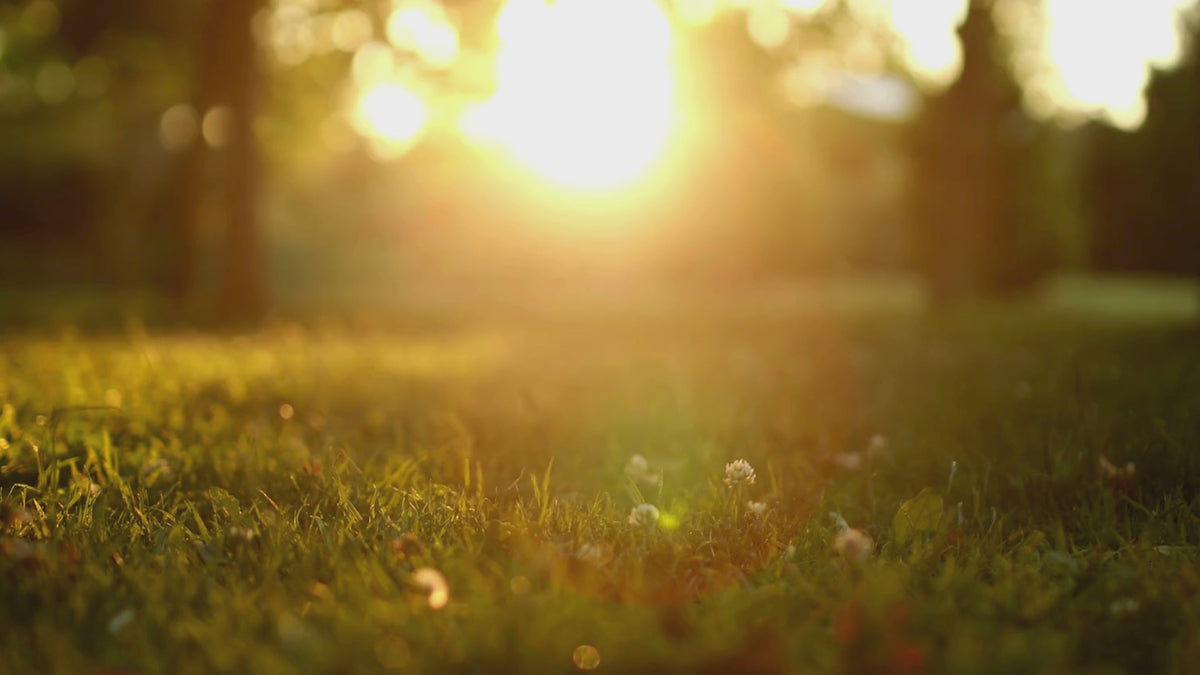 Load video: Brittini introduces the Renew &amp; Awaken services and holistic approach